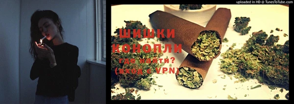 молекула духа Дмитров